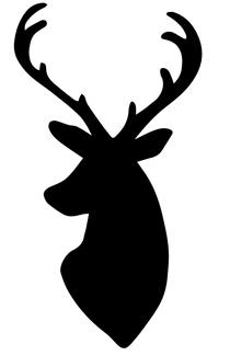 Buck Buck